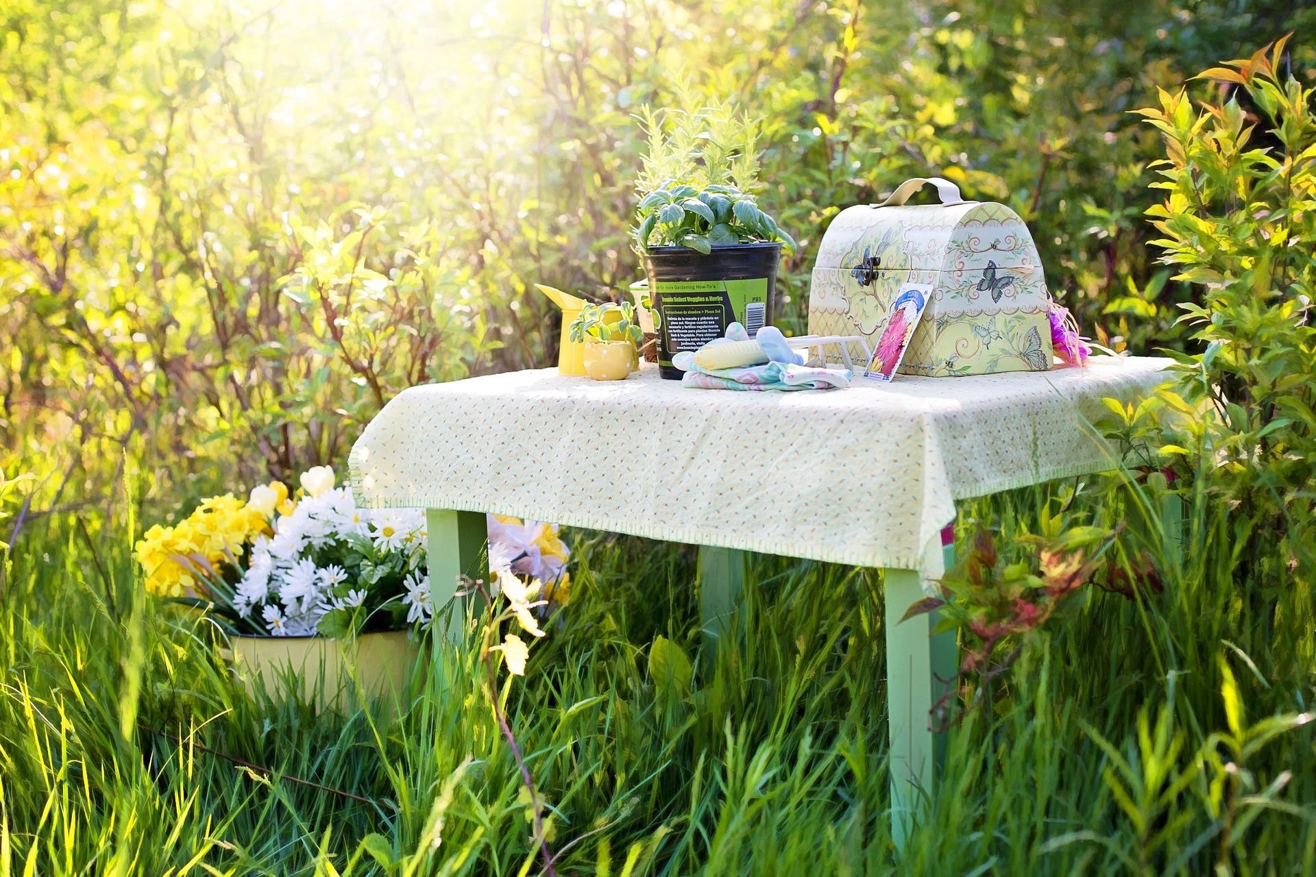 Piknik sto u travi